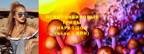 спиды Козловка