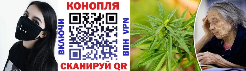 Бошки марихуана ГИДРОПОН  Купить закладки  Агидель 
